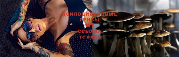спиды Алексин