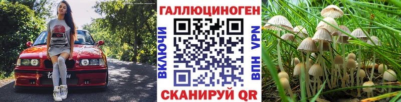 Псилоцибиновые грибы ЛСД  Нестеров 